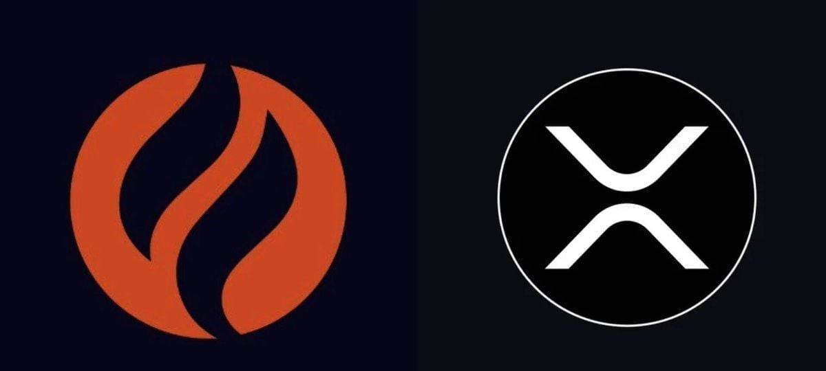 XRP获得新的DeFi保险用例