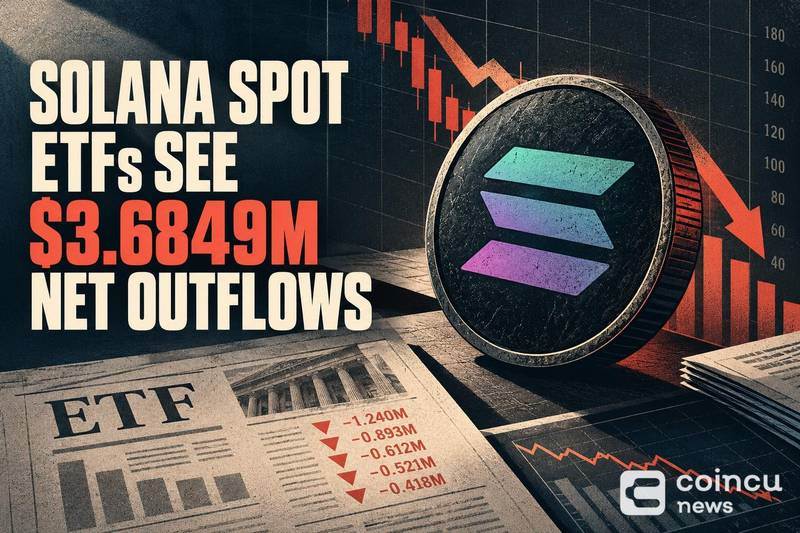 Solana现货ETF遭遇368.49万美元净流出