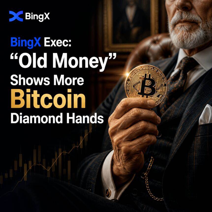 BingX高管：“老钱”展现出更坚定的比特币持有决心