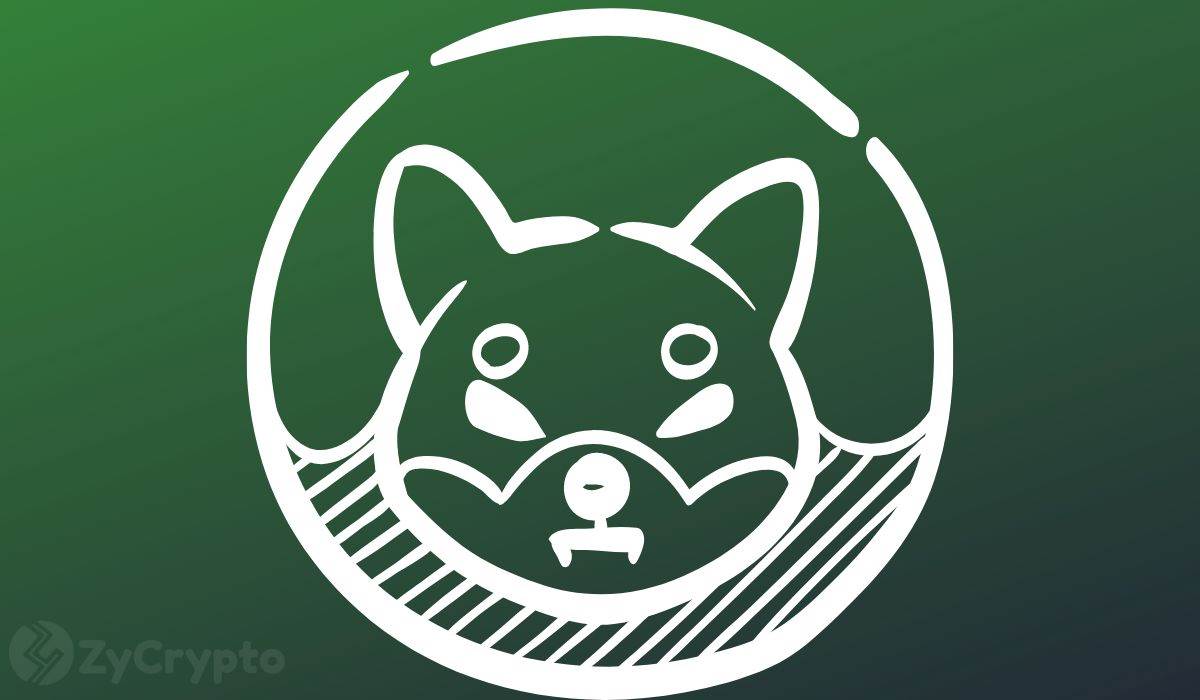 柴犬币（SHIB）瞄准日本支付市场，随着Binance Pay用户数突破百万大关