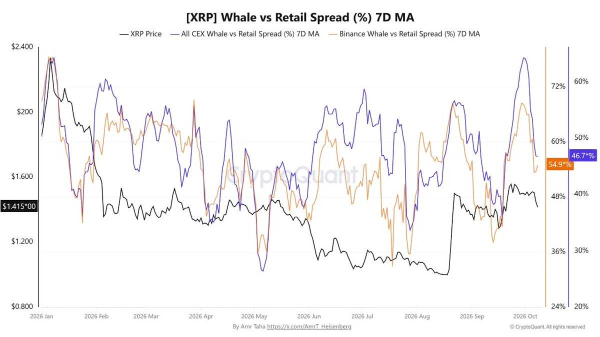Whale Activity Chart