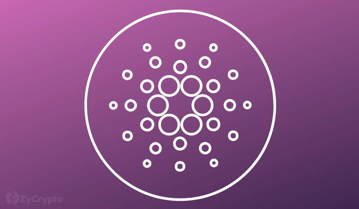 Cardano 千倍反弹案例：为何分析师称 ADA 有望重夺 3.10 美元历史新高