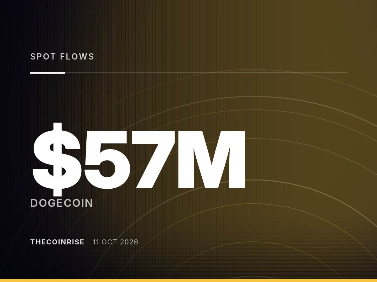 狗狗币现货资金流大幅转负，鲸鱼一周内撤出5700万美元