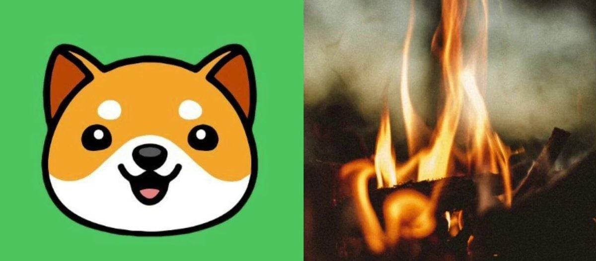 超过一半的BABYDOGE代币被永久销毁...