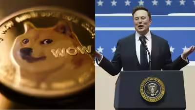 Dogecoin's recent price increase: Revealed the reasons behind the sharp rise