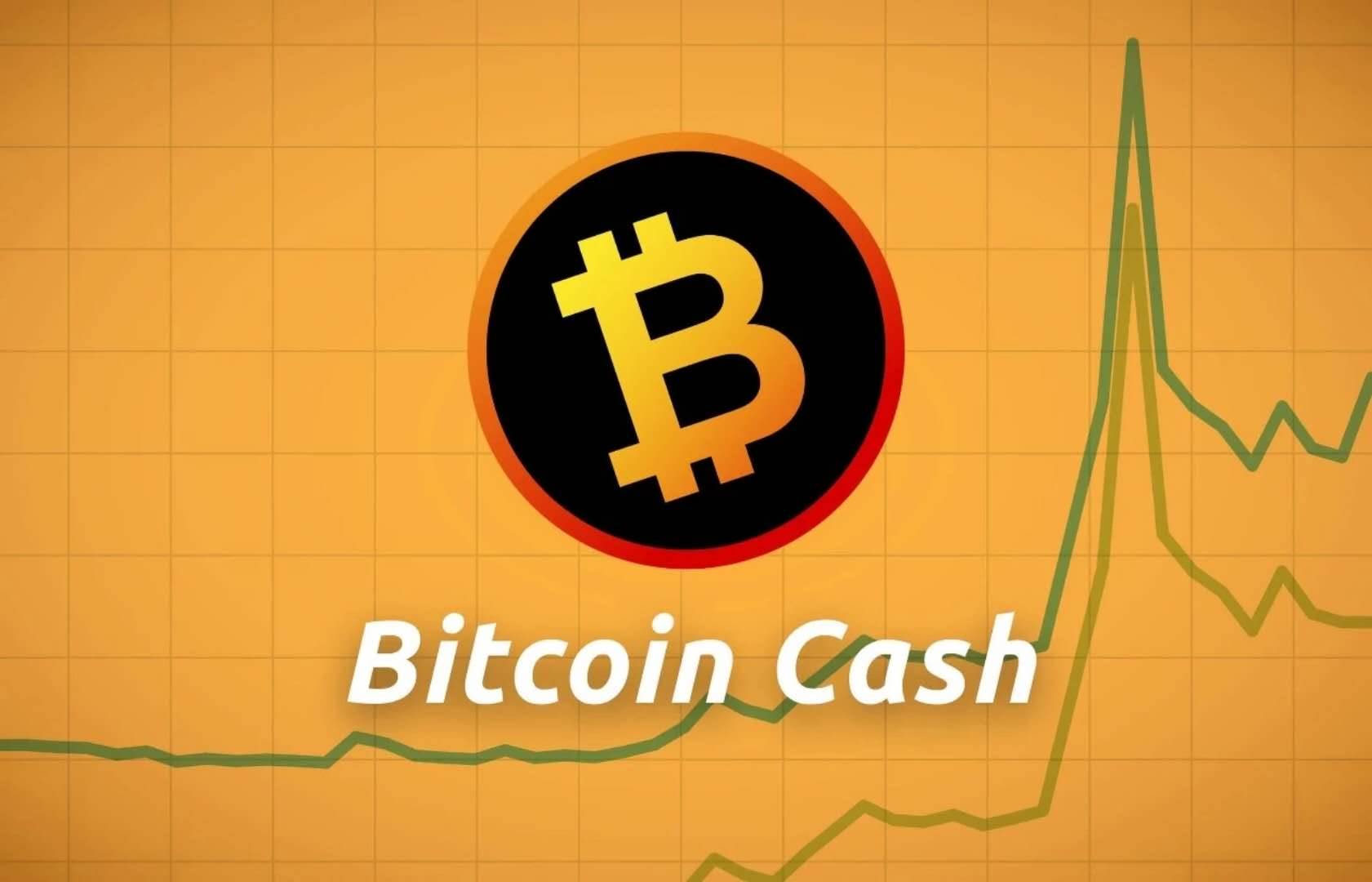 Bitmain: Success due to BCH, failure also due to BCH