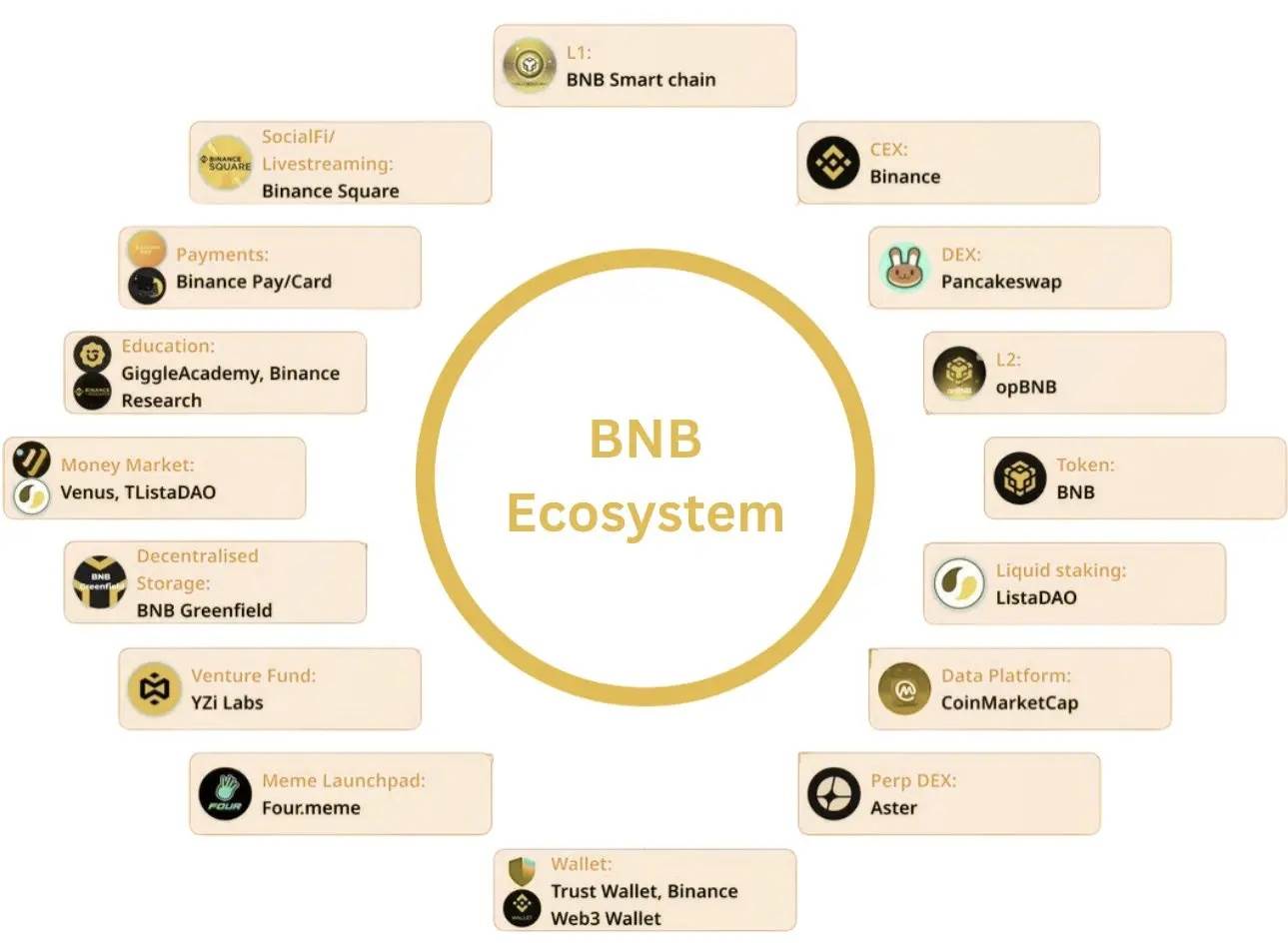 YZi Labs重磅报告：BNB的定位、经济模型与核心竞争力