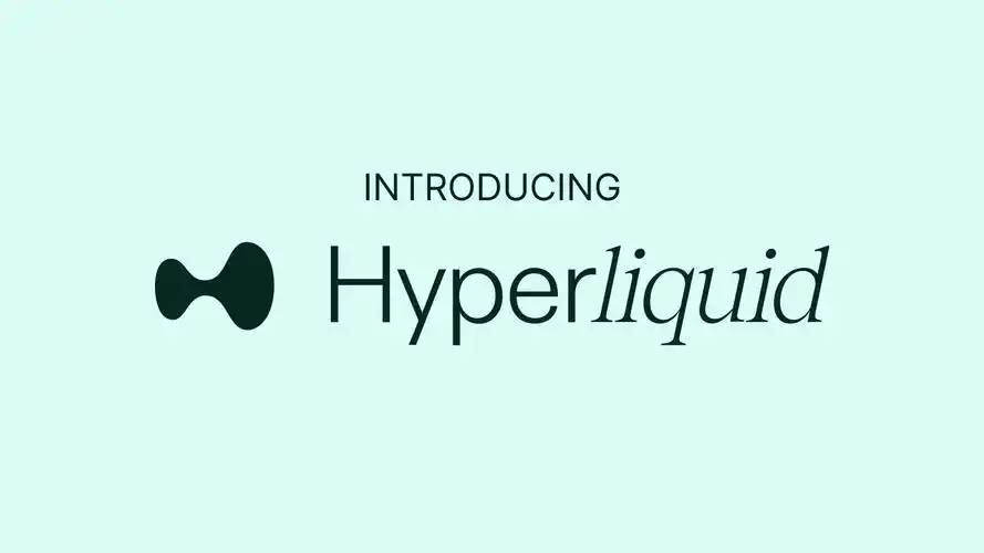 烧掉一半$HYPE?一份激进提案引发的Hyperliquid估值大讨论