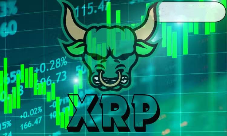 专家称12只XRP ETF一天内可能带来29.4亿美元的收入