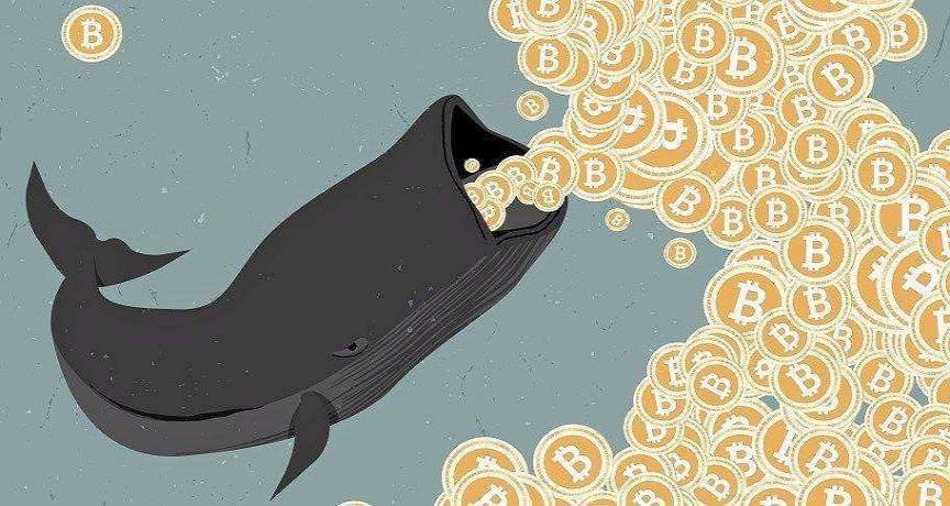 行情不断走低，巨鲸、DAT、ETF们都怎么样了?