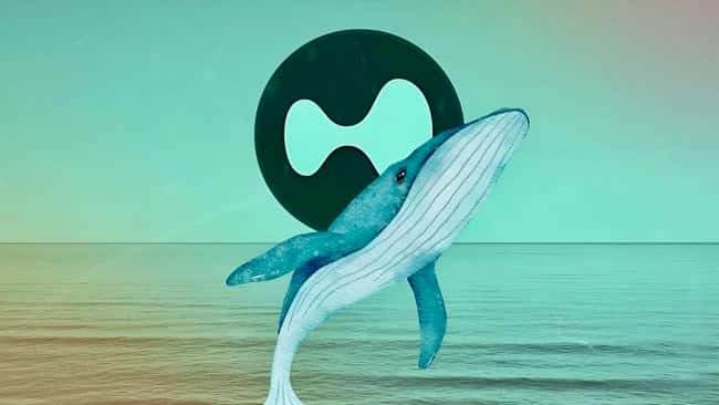 A mysterious Hyperliquid trader doubled its bets on short positions in Bitcoin (BTC), investing near