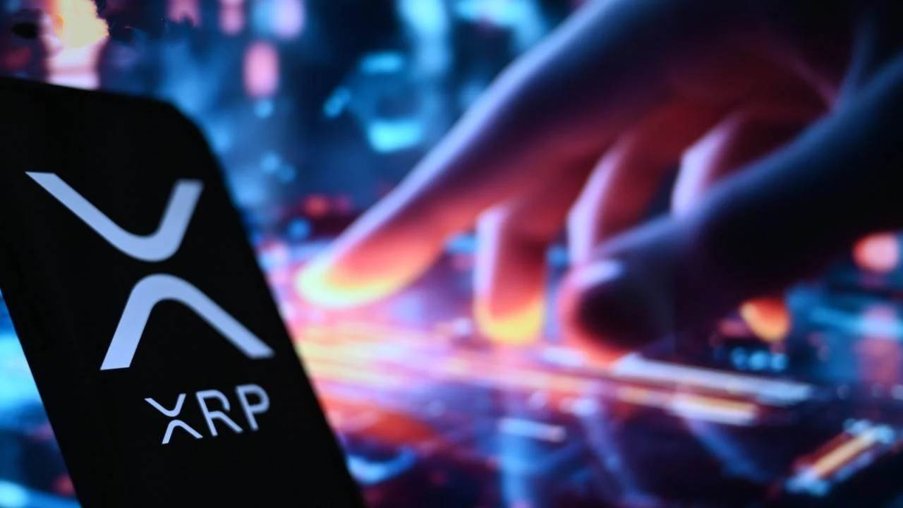 Canary XRP ETF首日交易活跃度飙升至榜首，超越Solana ETF首秀表现