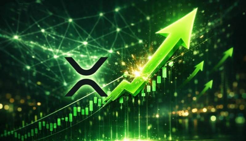 XRP牛市案例加强，随着ETF、国债采用和链上实用性汇聚