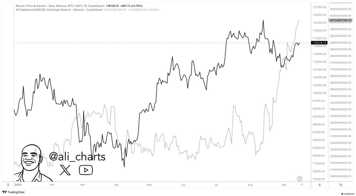 Binance’s stable coin reserves have increased by 40%! This indicates new trends in the market.