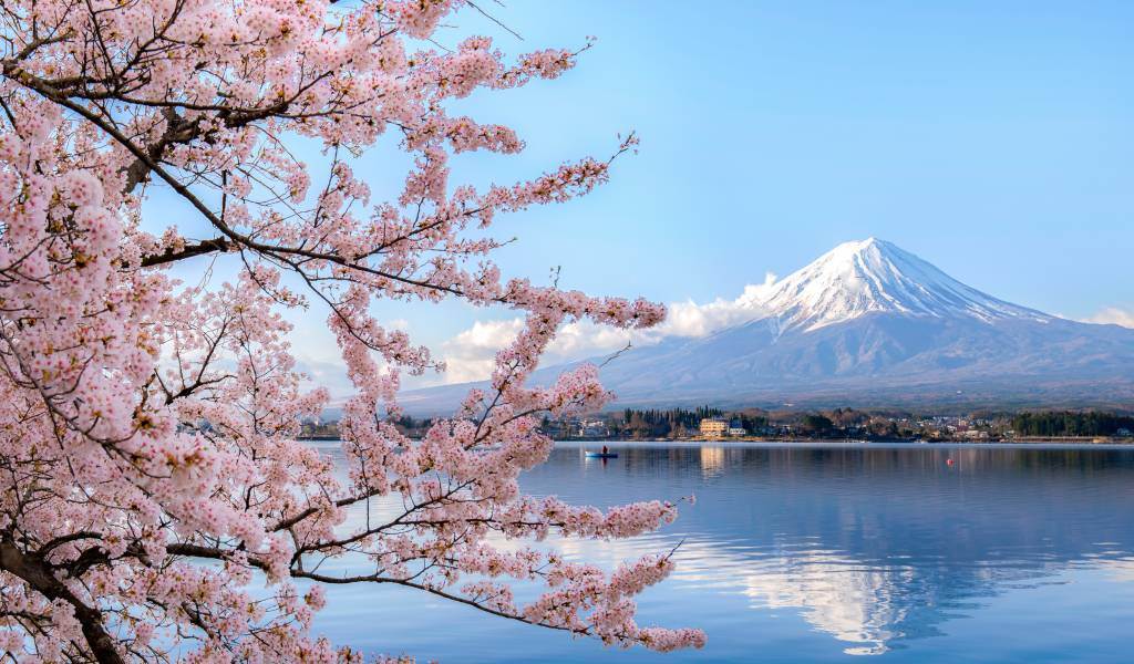 On the eve of the Bank of Japan’s interest rate hike, why did Bitcoin prices fall first?