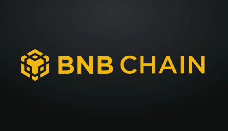 Annual Review of BNB Chain: Number of active addresses ranks first among L1s, supply of stablecoins
