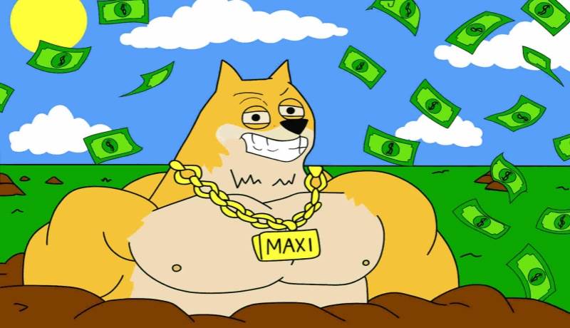 “最高智商”大佬竟是DOGE信徒,Rep-Max Bros全仓押注Maxi Doge