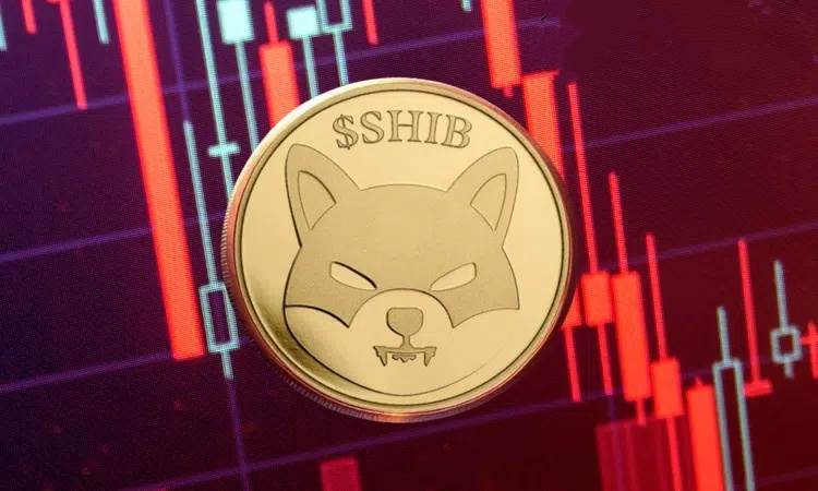 柴犬价格加零，SHIB还能跌多少