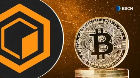 谁是Core DAO背后的推手？我们对其贡献者了解多少？