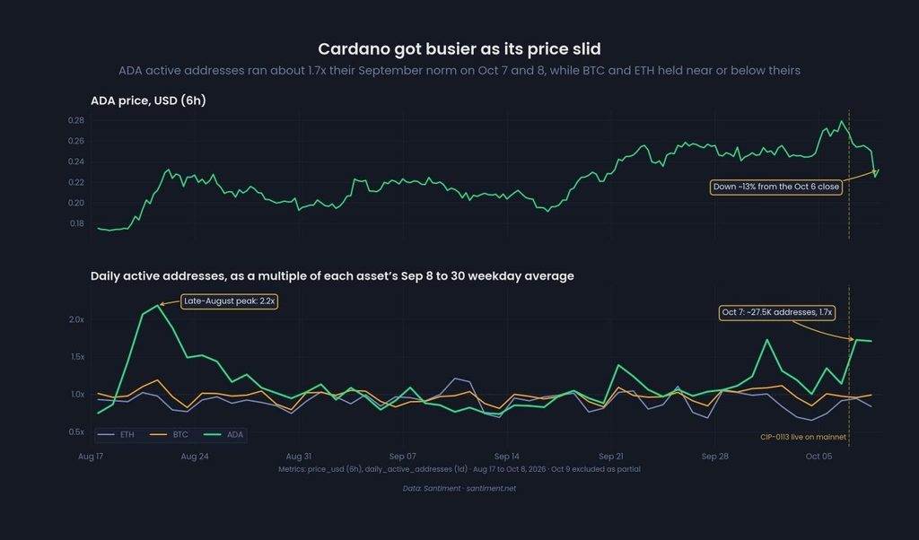 Cardano Activity Chart