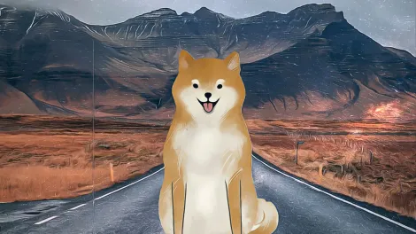 柴犬币势头强劲，市场条件改善