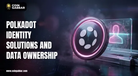 Polkadot身份解决方案：Web3数据所有权解析