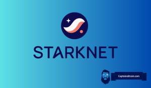Starknet 为 Zcash 提供可编程隐私保护