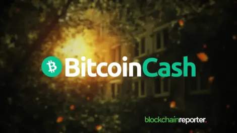 比特币现金今日价格：BCH 稳定在 275 美元，CME 期货带来机构准入
