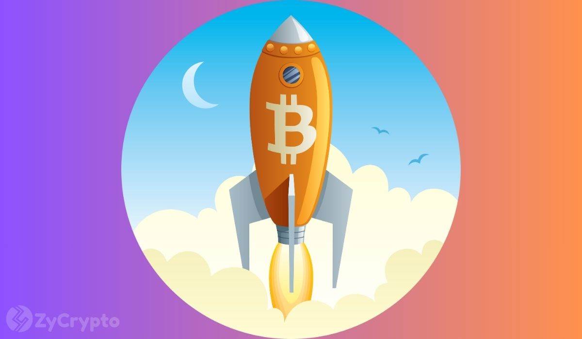 华尔街资深人士认为加密货币的回报潜力高于AI股票