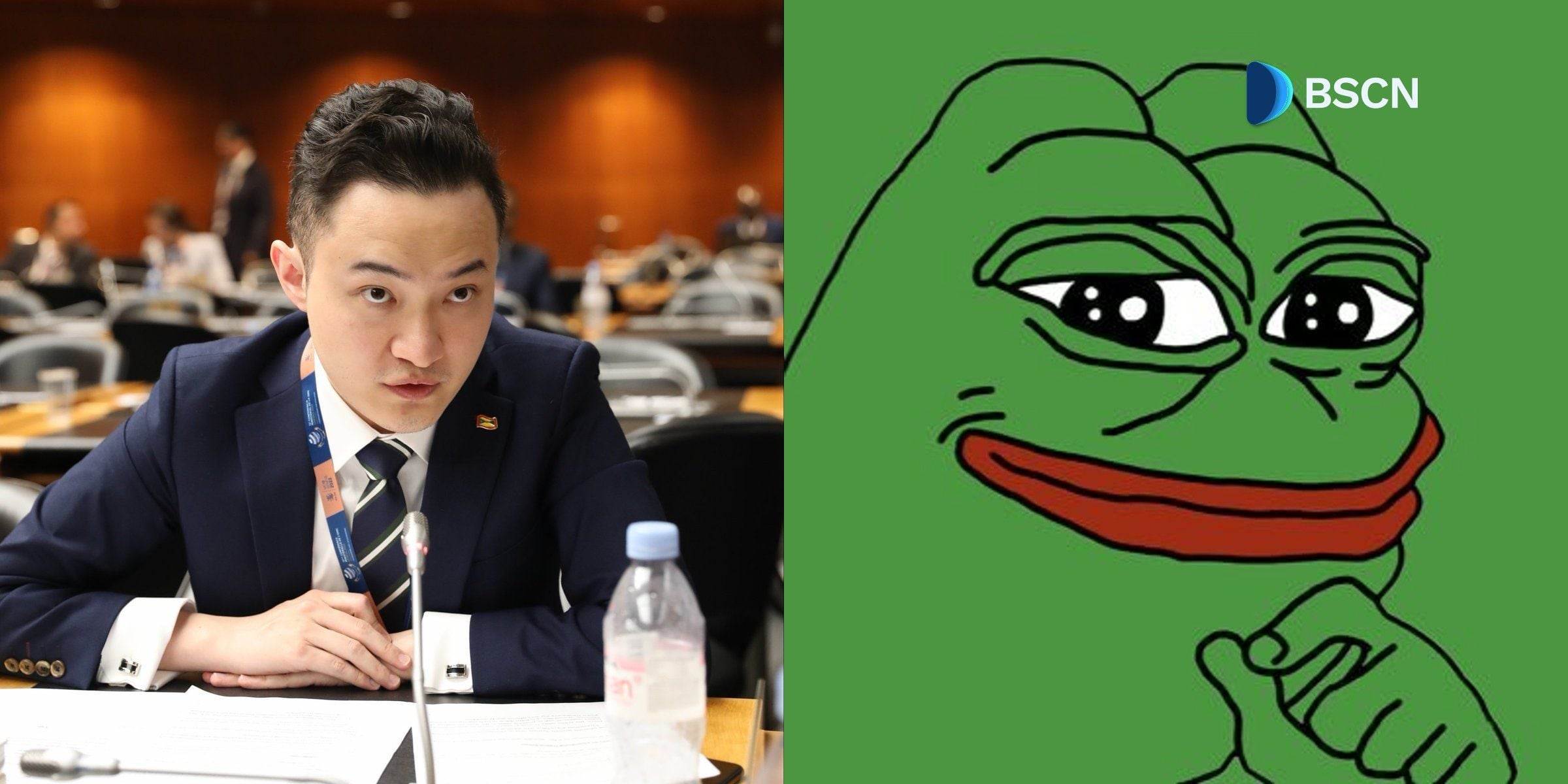 Justin Sun 是否刚刚在 PEPE 上下了一笔巨额赌注？