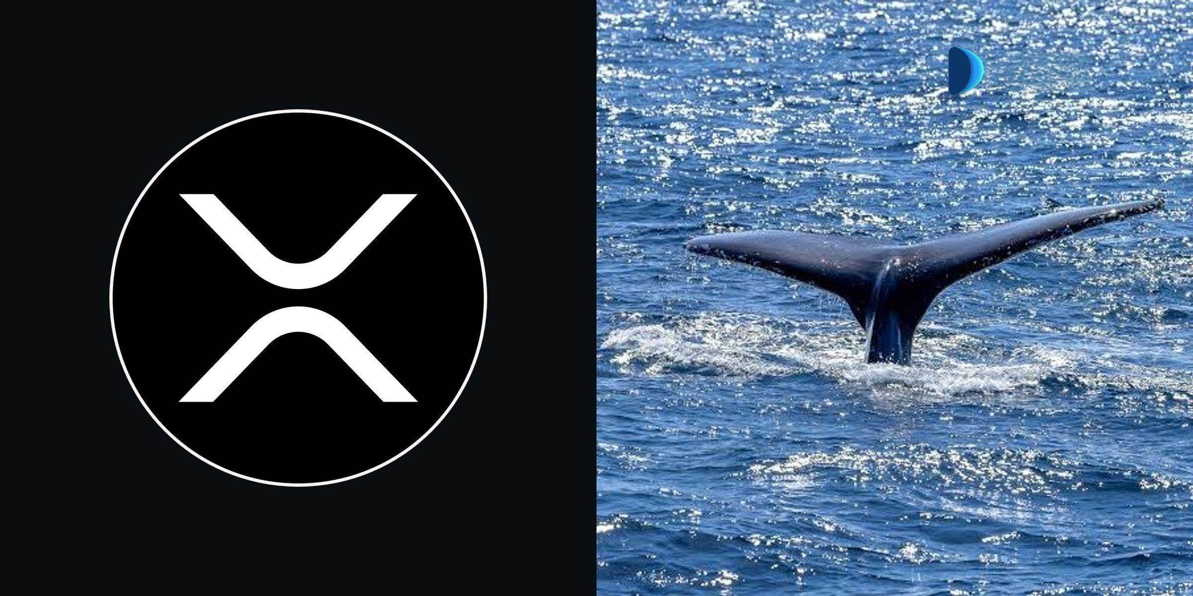 近七成XRP代币由鲸鱼持有