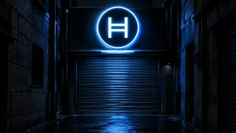 购买Hedera：五个欧元交易对及决定你数量的手续费