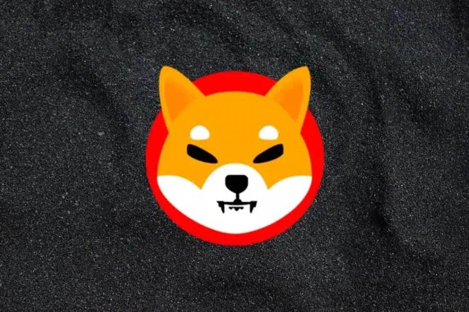 Shiba Inu资深人士警告：5000亿SHIB落入币安黑客钱包