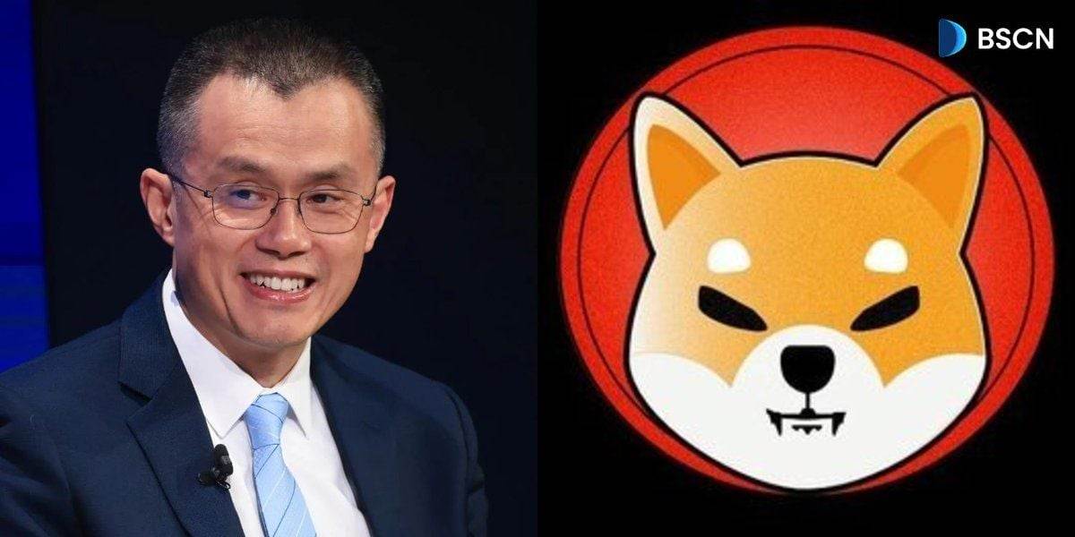 币安创始人CZ否认拥有名为Riki的柴犬，此前因SHIB故事引发热议