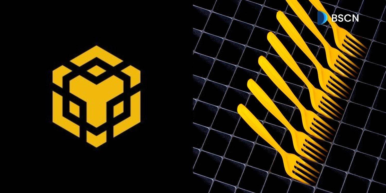 BNB Chain在BSC测试网激活Jenner硬分叉，5%支付通道上线